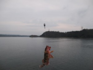 2016-1-2　ｄｆｇｈｋｋｌ 026